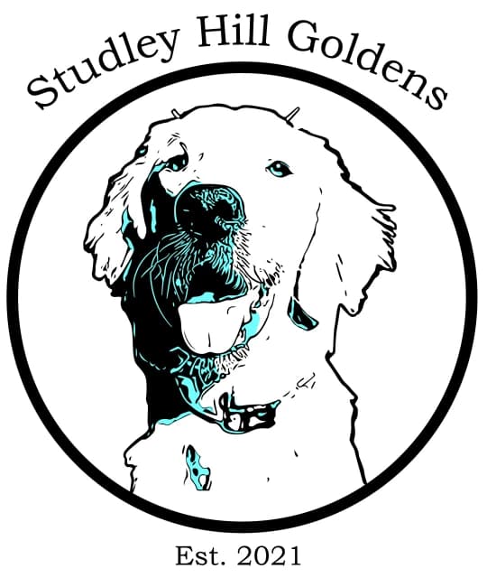 Studley Hill Goldens