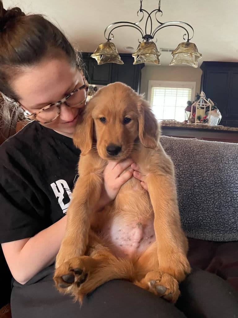 A Studley Hill Golden Retriever home with their family