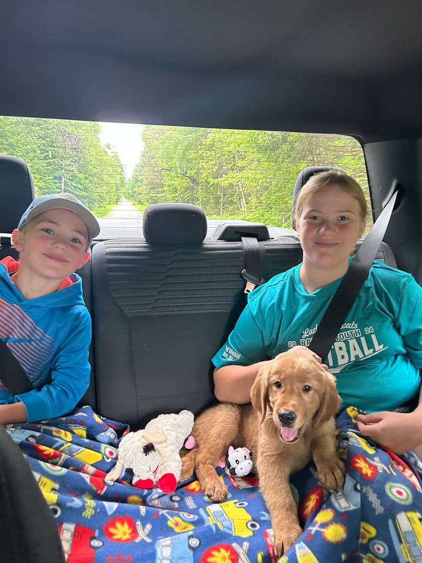 A Studley Hill Golden Retriever home with their family