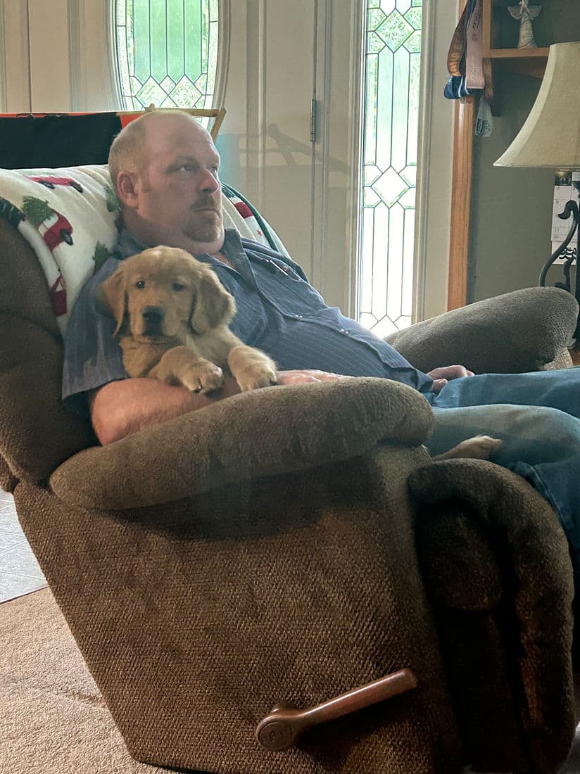 A Studley Hill Golden Retriever home with their family