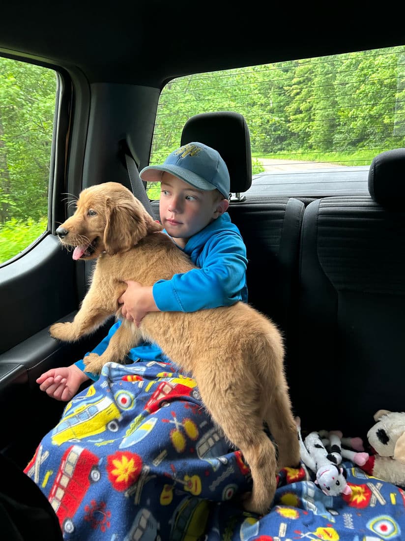 A Studley Hill Golden Retriever home with their family